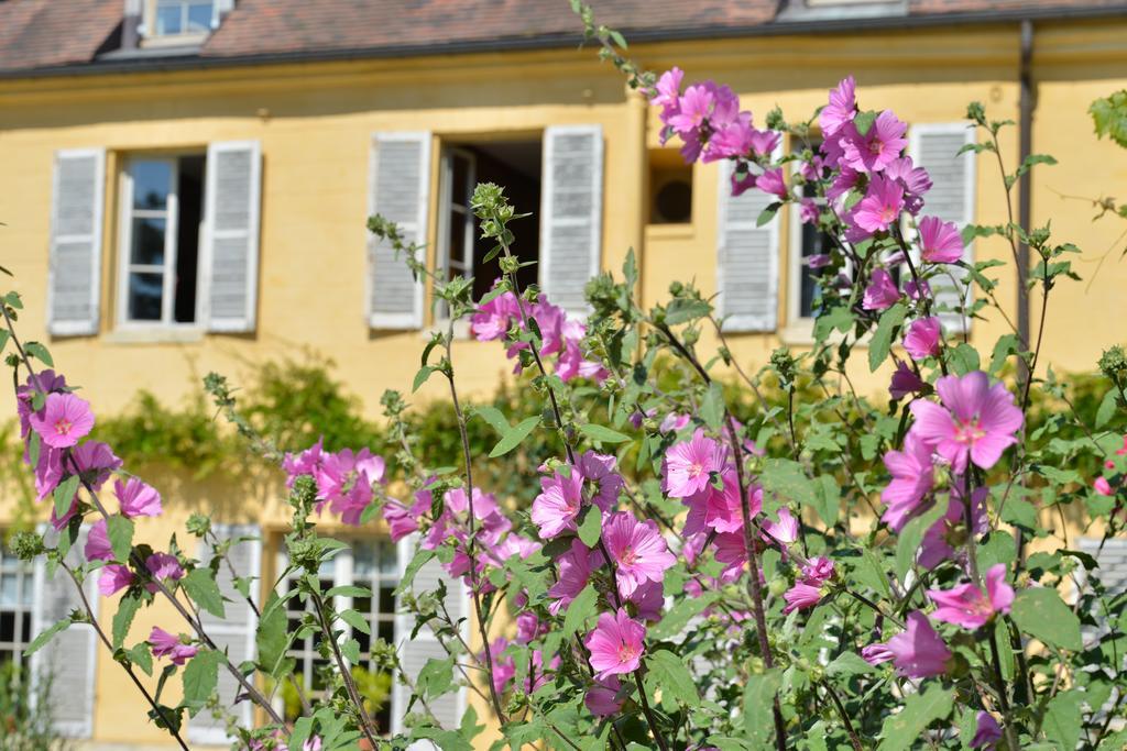 Charmilles des Cordeliers Bed and Breakfast París Exterior foto