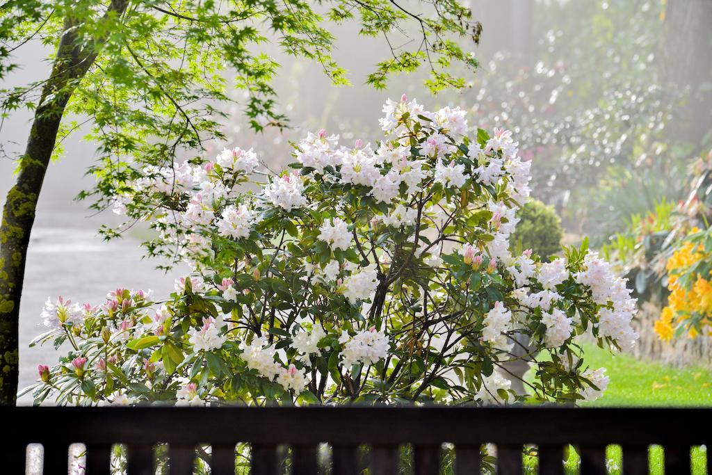 Charmilles des Cordeliers Bed and Breakfast París Exterior foto